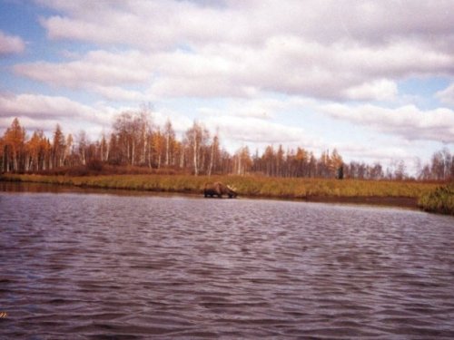 Осень