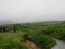 Image description