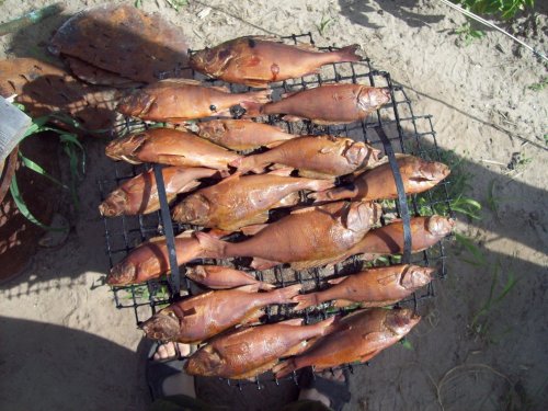 окуньки