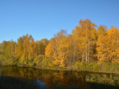 Осенние зарисовки 2014 (1)