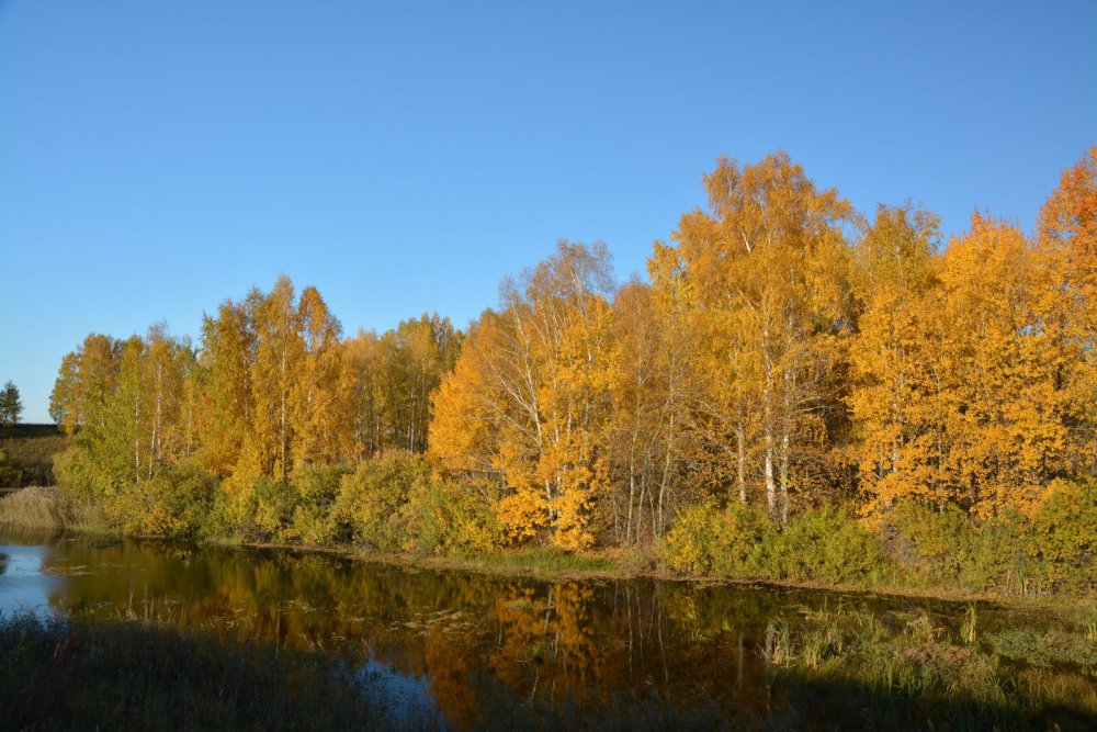Осенние зарисовки 2014 (1)