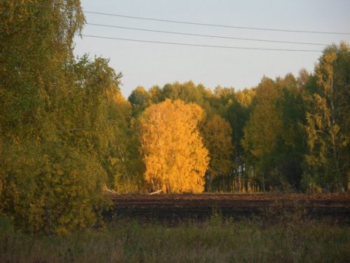 Вид осени, нам сладок и приятен.......