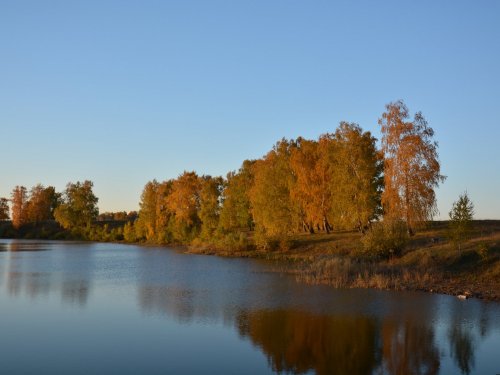 Осенние зарисовки 2014 (4)