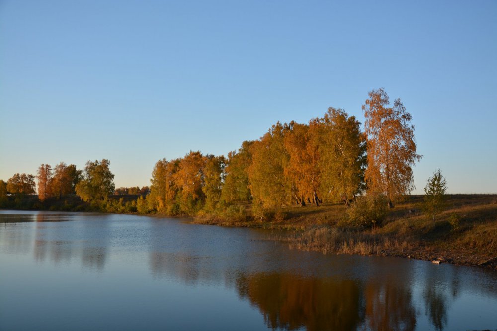 Осенние зарисовки 2014 (4)