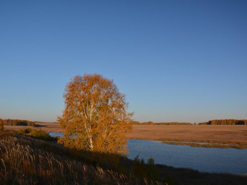Осенние зарисовки 2014 (3)