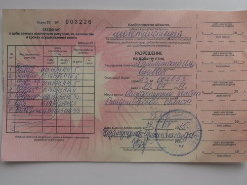 новая путевка