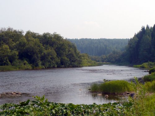 р. Вижай