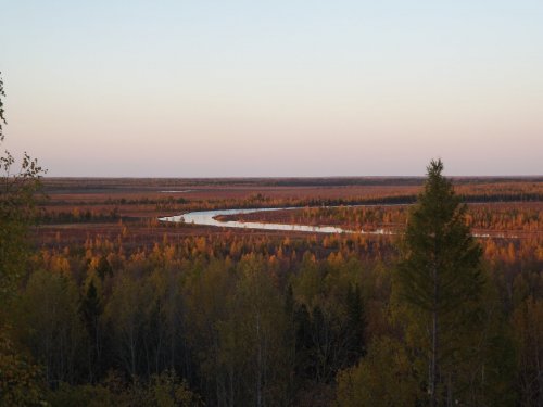 Мое болото