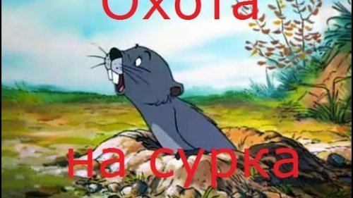Охота на сурка