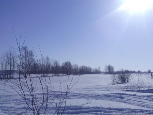 Утро перед охотой