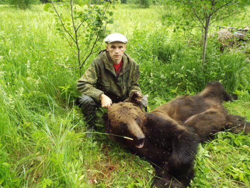 Трихинеллезный мишка