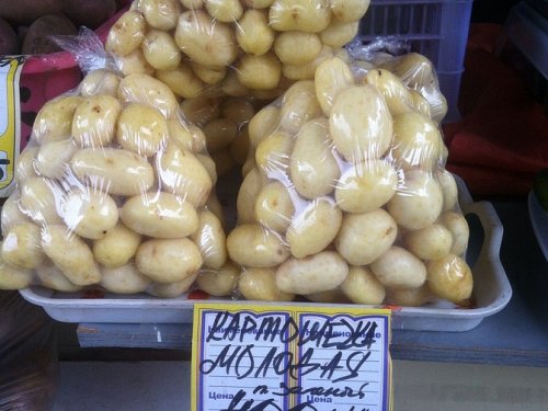 Первоурожайная)))