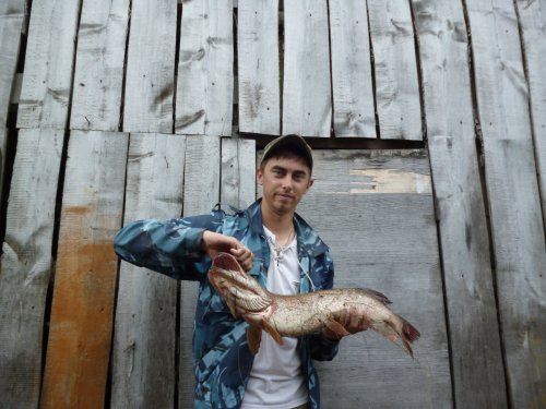 Щучка
