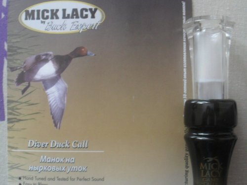 Buck Expert