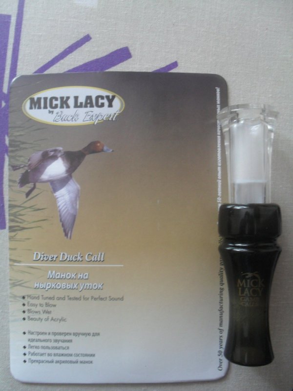 Buck Expert