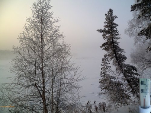 Морозец
