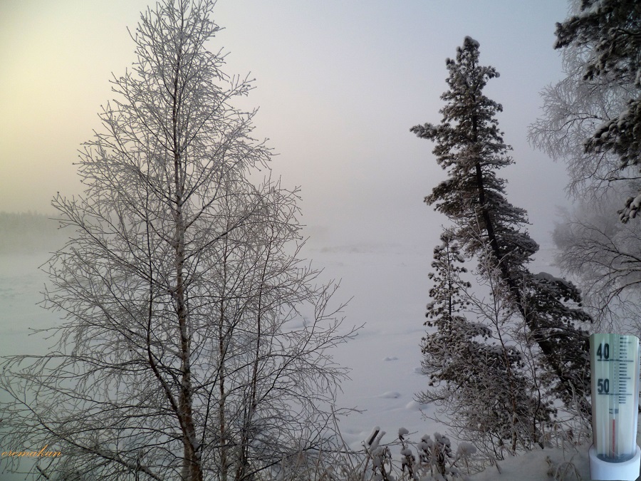 Морозец
