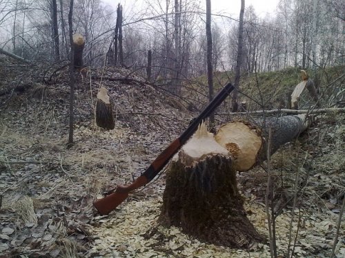 Бобриный угол.