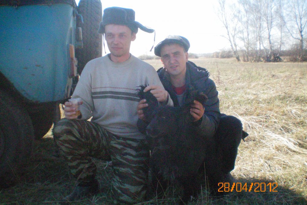 рабочий пес