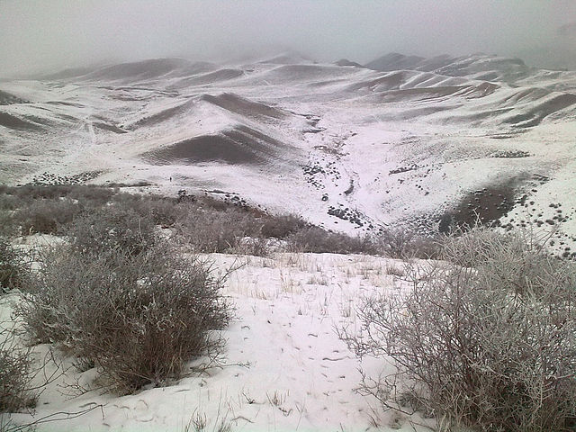Возвращаюсь с охоты.