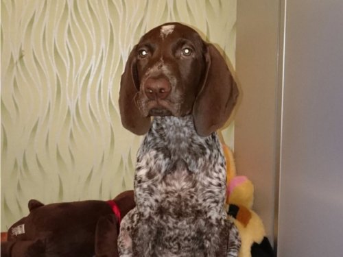 Растем. 2 месяца и 1 неделя
