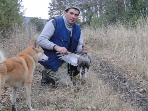 из под собаки!