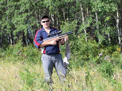 поголовье серых уменьшено...