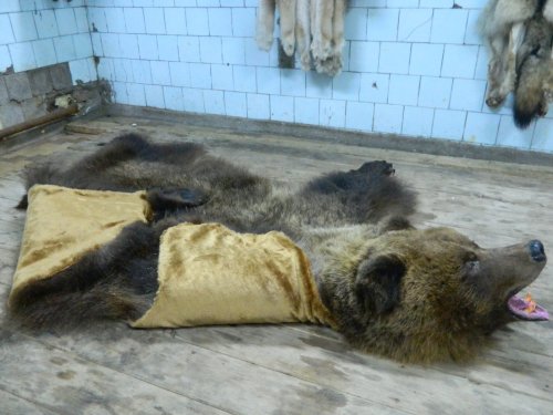 наши работы омск