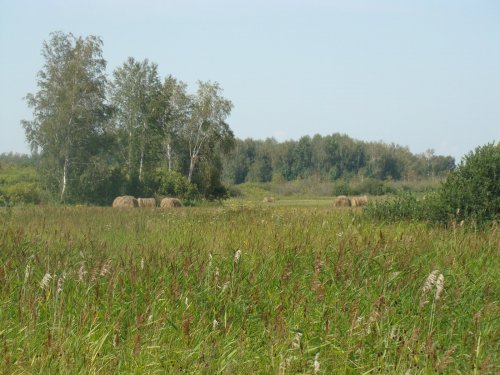 Август.