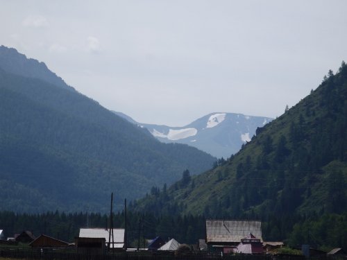 белки