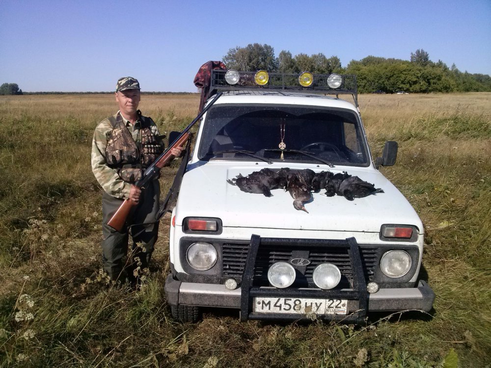 рабочая лошадка не подвела