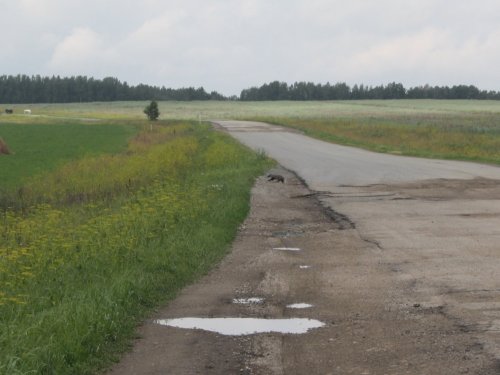 Барсучек!