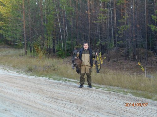 Осень 2014