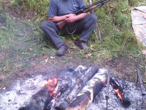 поле зорьки на отдыхе.