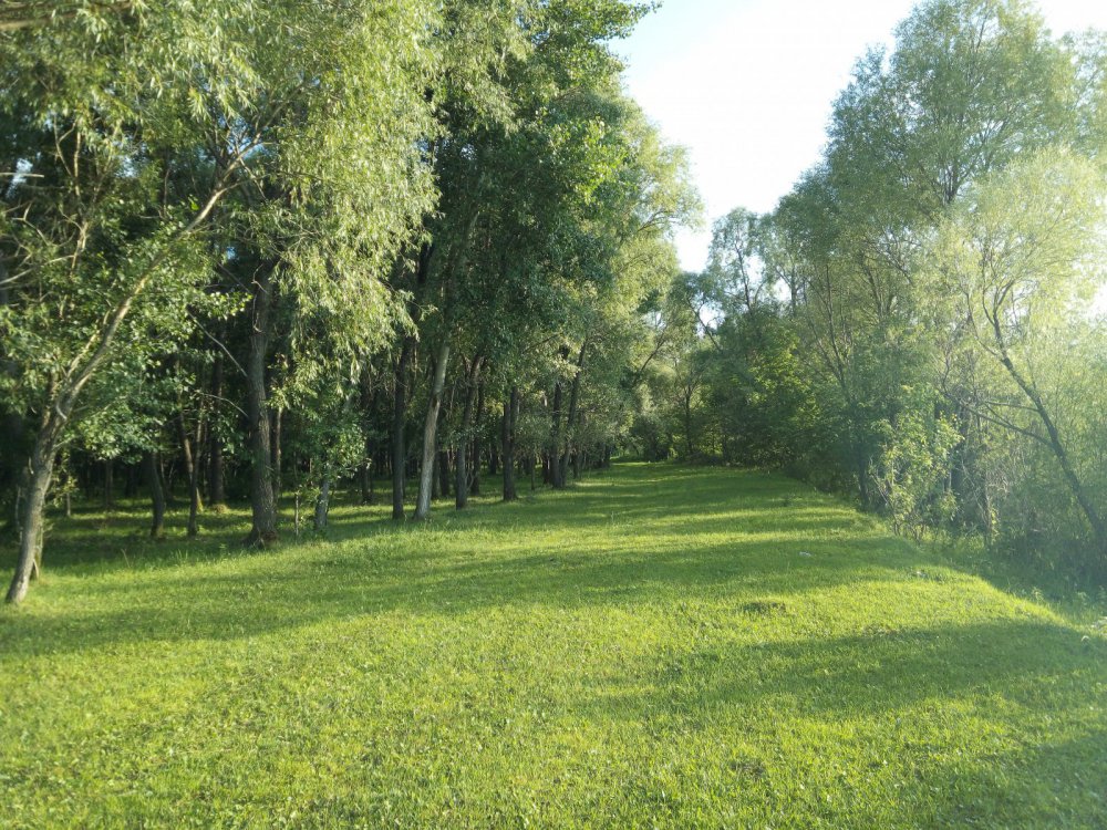 хороша полянка