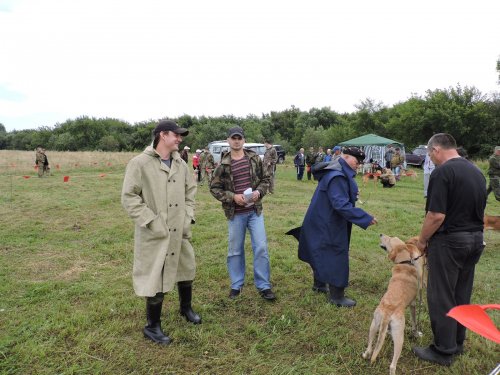осинниковская городская выводка