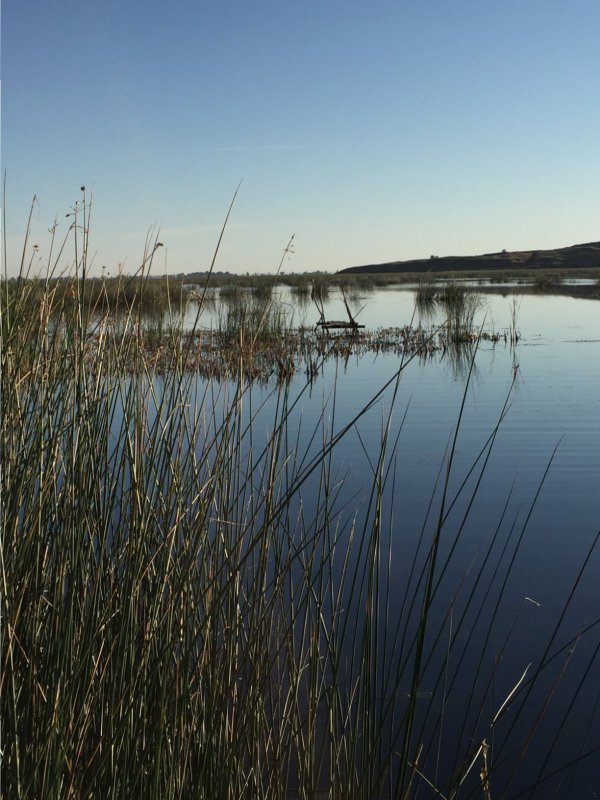 Утрянка
