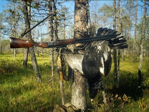 Глухарь масса 5 кг 360 грамм