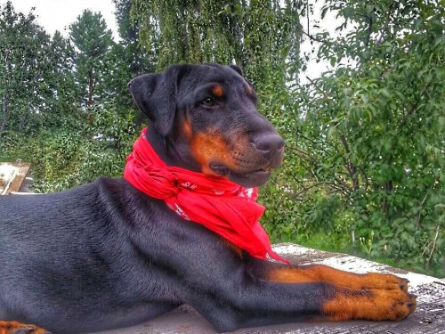 на стиле)))))