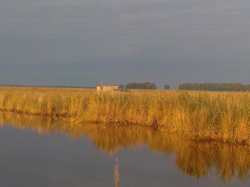 Вид Шалашей с большого плеса.