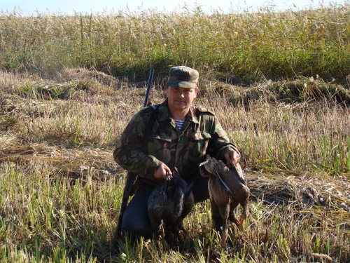 Краснозёрский район НСО , открытие охоты.