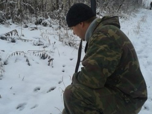 Рябчик
