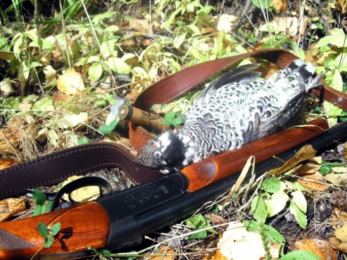 Натюр МОРТ