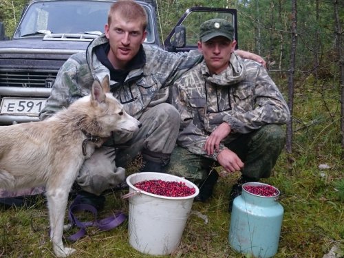 Тихая охота