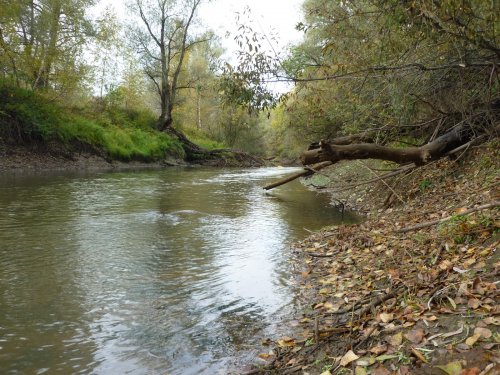 Уень, красавица....