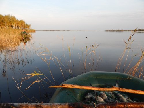 Всё было замечательно!