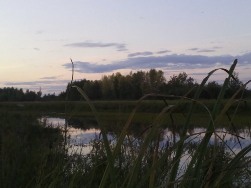 Ждемсс.