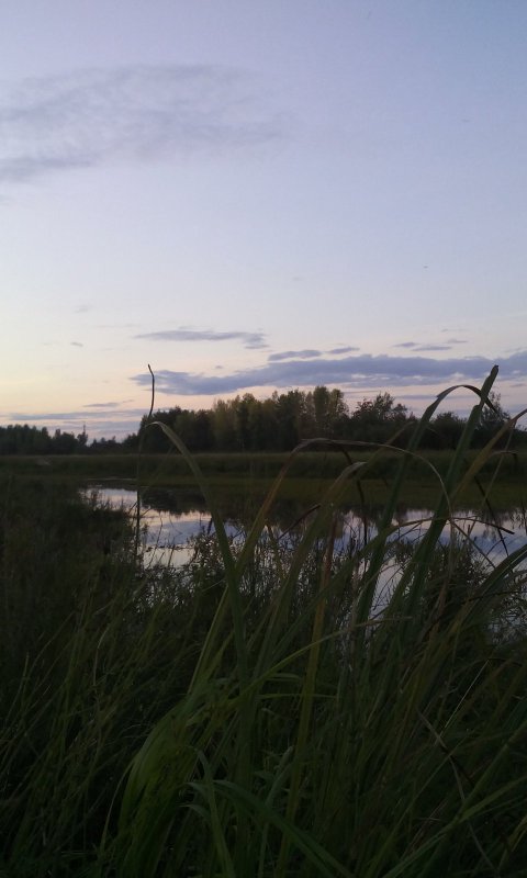 Ждемсс.