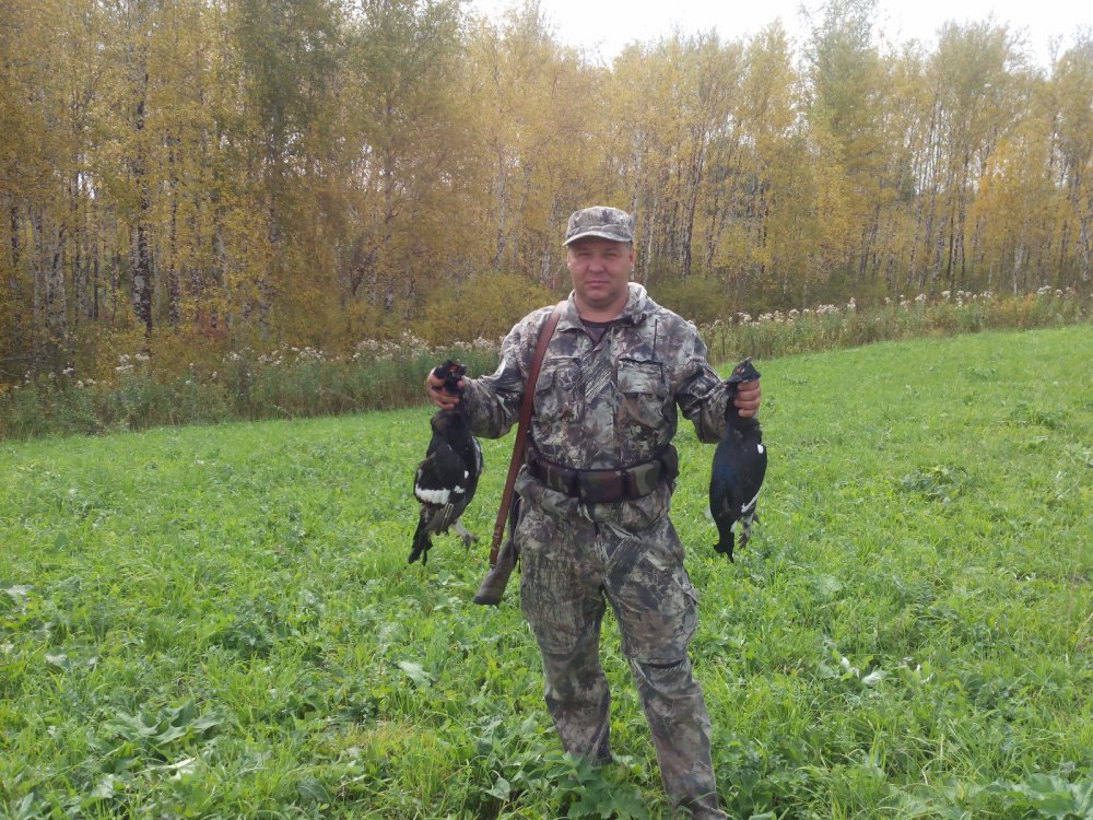тетерев 2015