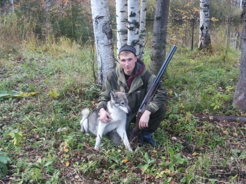 Выходные в лесу